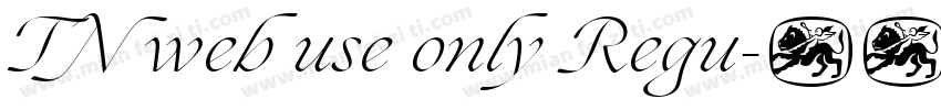 TN web use only Regu字体转换
